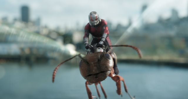 SP