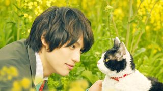 ツンデレ猫にメロメロ!10月の5つ星映画5作品はこれだ!