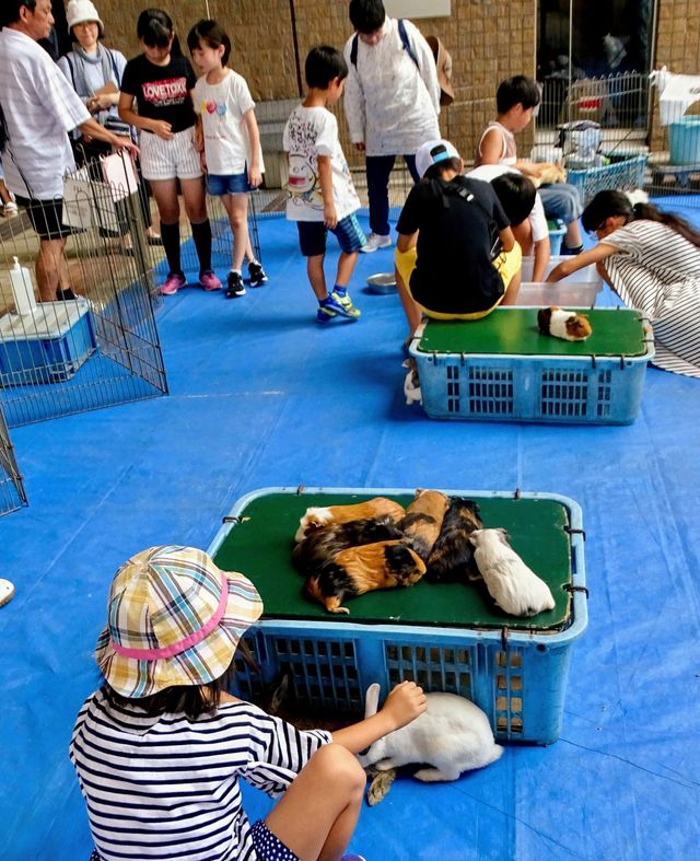 夏祭り