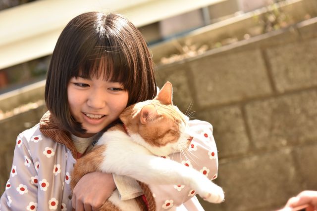 トラさん