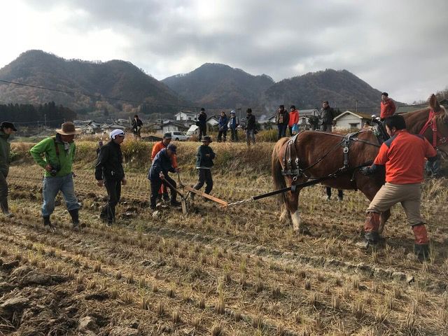 馬耕伝習会