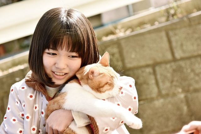 トラさん~僕が猫になったワケ~