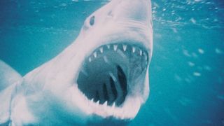 さよなら午前十時の映画祭