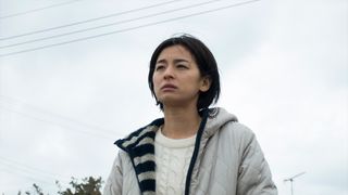 女性の遺体が猫11匹に食い散らかされて発見