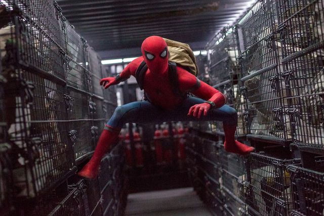 スパイダーマン
