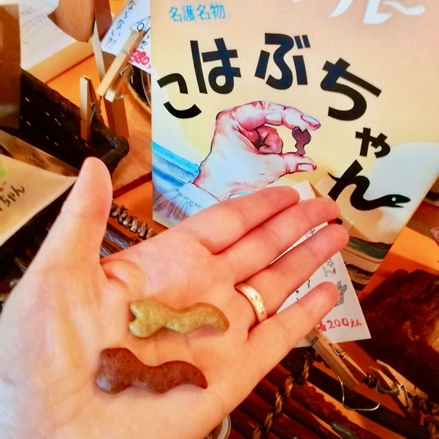 ハブサブレ