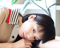 夏帆
