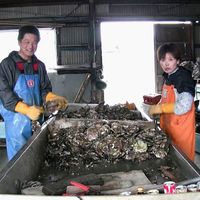 東日本大震災後を追い続ける映像作家たち