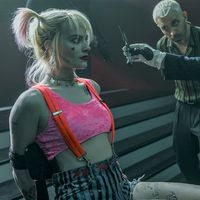 最凶の女性チーム登場！『ハーレイ・クインの華麗なる覚醒』キャラクターまとめ