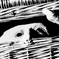 トラウマ映画5選　「呪怨：呪いの家」三宅唱監督に聞く