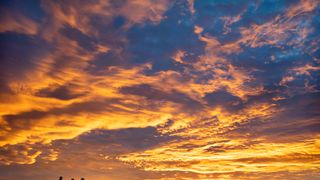 40分で旅行体験！IMAXで自然の尊さを体感