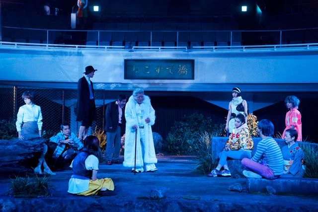 沢尻エリカ×吉沢亮×犬童一心『猫は抱くもの』写真（7枚目）