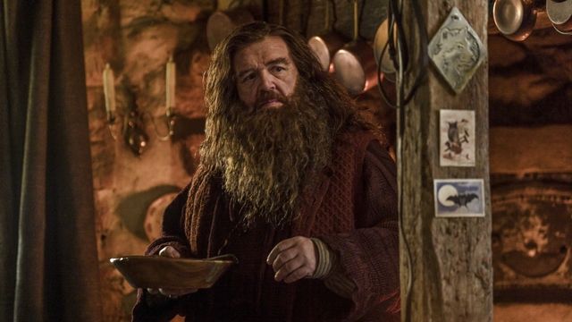 ドラマ版「ハリー・ポッターと賢者の石」新場面写真（9枚目）