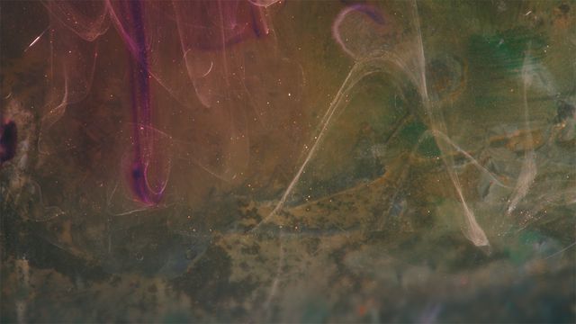 「光る君へ」反響呼んだタイトルバック映像カット＜31点＞（7枚目）