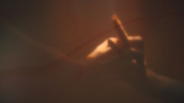 「光る君へ」反響呼んだタイトルバック映像カット＜31点＞（9枚目）