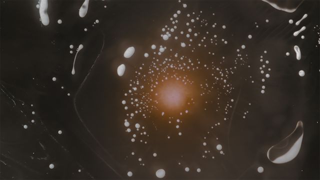 「光る君へ」反響呼んだタイトルバック映像カット＜31点＞（10枚目）