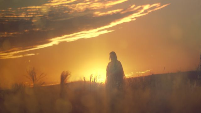 「光る君へ」反響呼んだタイトルバック映像カット＜31点＞（14枚目）