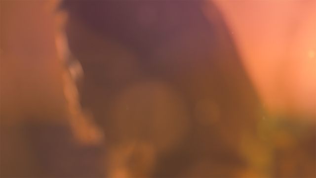 「光る君へ」反響呼んだタイトルバック映像カット＜31点＞（16枚目）