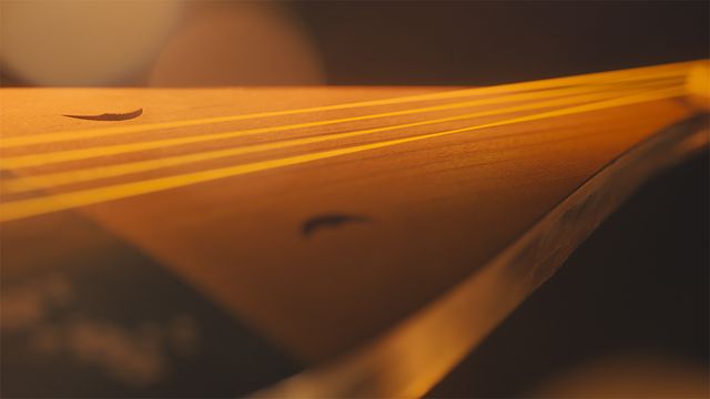 「光る君へ」反響呼んだタイトルバック映像カット＜31点＞（21枚目）