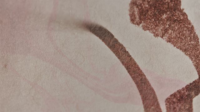 「光る君へ」反響呼んだタイトルバック映像カット＜31点＞（23枚目）