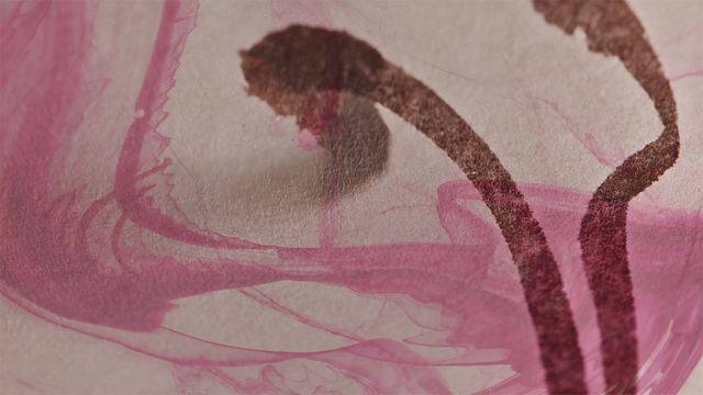 「光る君へ」反響呼んだタイトルバック映像カット＜31点＞（24枚目）