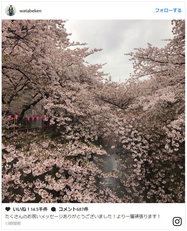 【画像】渡部建＆佐々木希、インスタに同じ写真　さっそくお花見デート？：フォトギャラリー