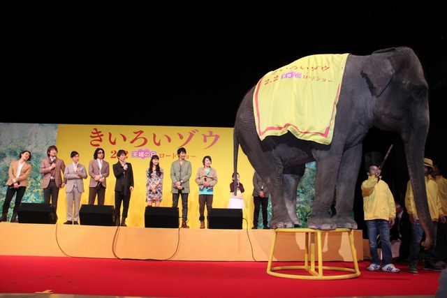 映画『きいろいゾウ』公開直前プレミアイベントフォトギャラリー（16枚目）