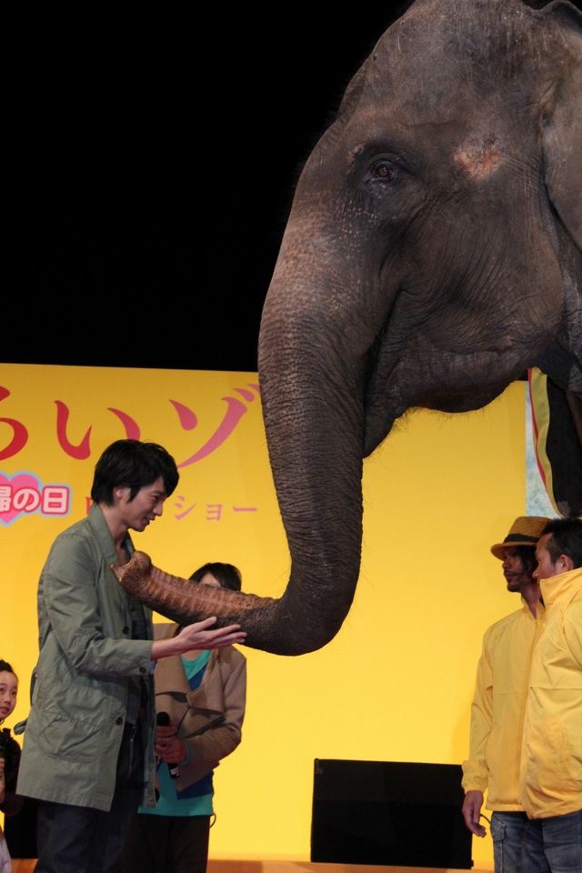 映画『きいろいゾウ』公開直前プレミアイベントフォトギャラリー（18枚目）