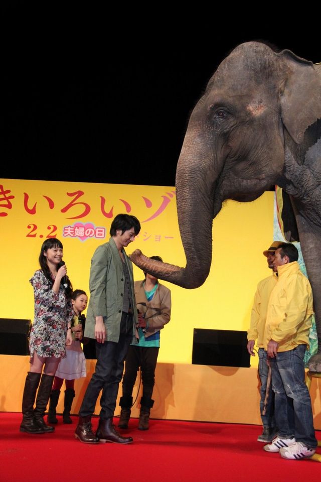 映画『きいろいゾウ』公開直前プレミアイベントフォトギャラリー（19枚目）