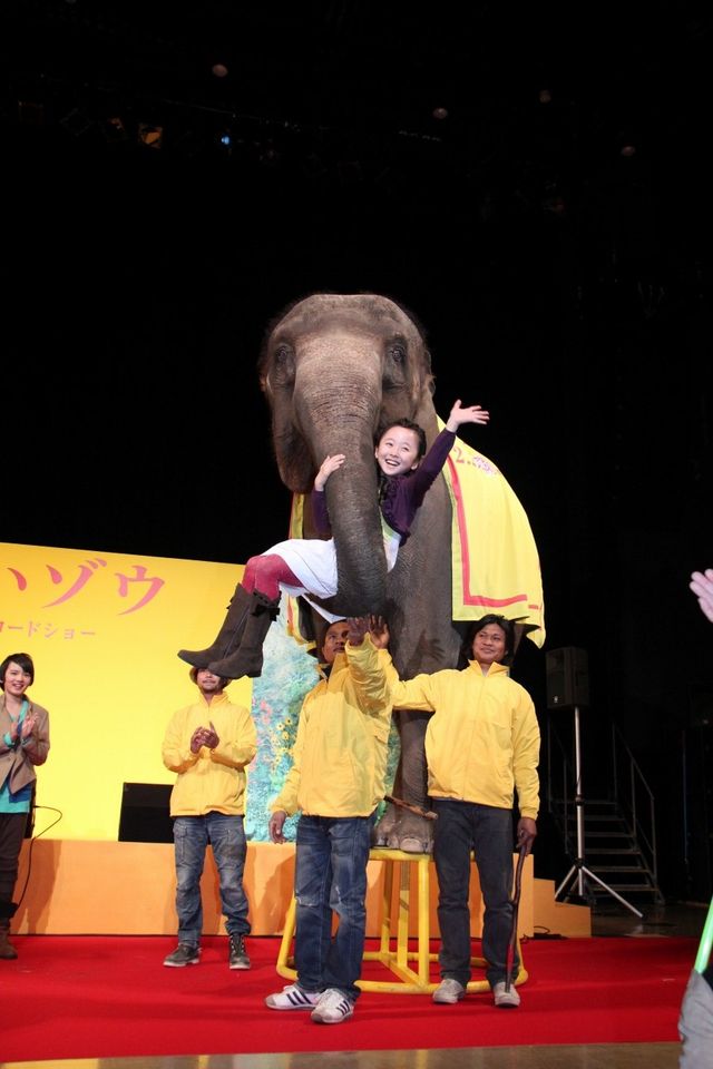 映画『きいろいゾウ』公開直前プレミアイベントフォトギャラリー（21枚目）