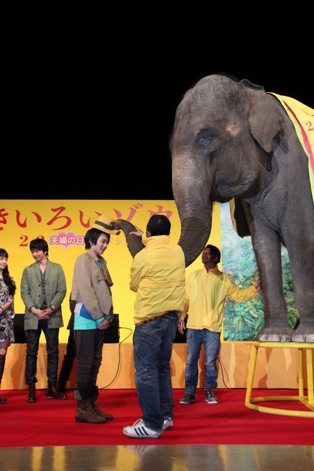 映画『きいろいゾウ』公開直前プレミアイベントフォトギャラリー（22枚目）