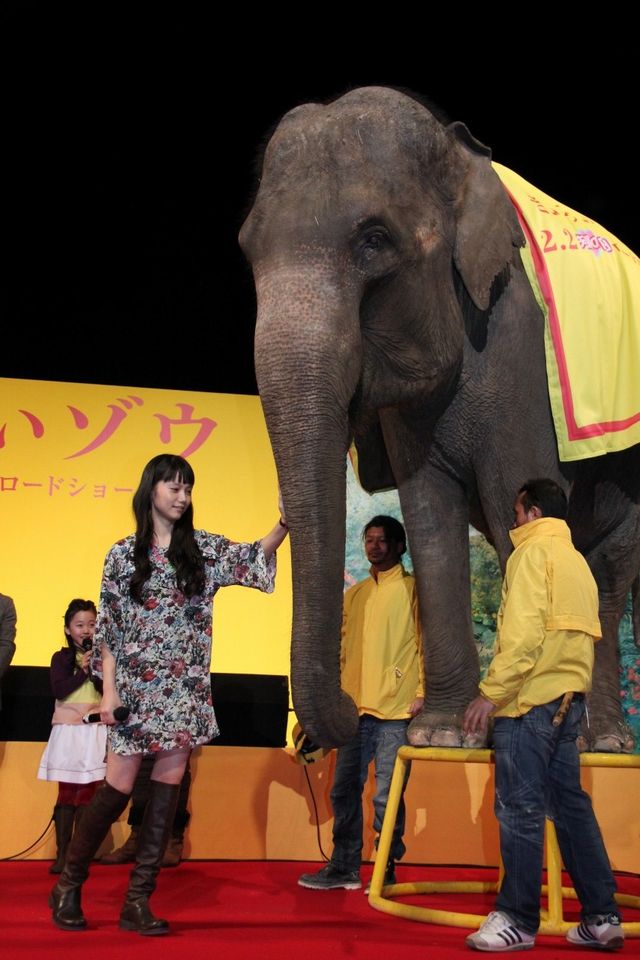 映画『きいろいゾウ』公開直前プレミアイベントフォトギャラリー（24枚目）