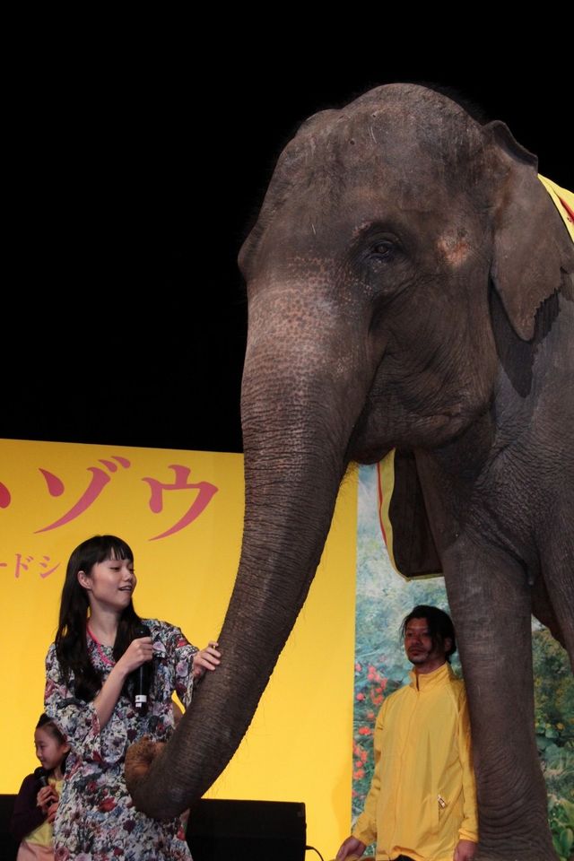 映画『きいろいゾウ』公開直前プレミアイベントフォトギャラリー（25枚目）