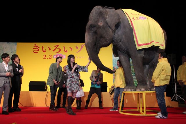 映画『きいろいゾウ』公開直前プレミアイベントフォトギャラリー（27枚目）