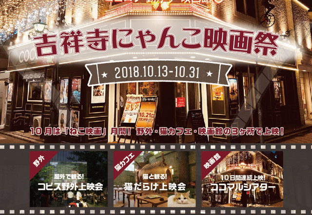 猫映画まみれ！「にゃんこ映画祭」ラインナップ（3枚目）