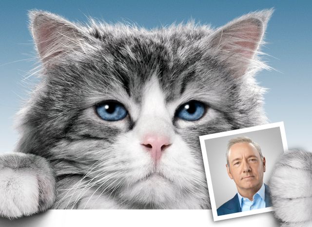 猫映画まみれ！「にゃんこ映画祭」ラインナップ（6枚目）