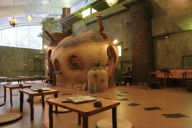 猫映画まみれ！「にゃんこ映画祭」ラインナップ（9枚目）