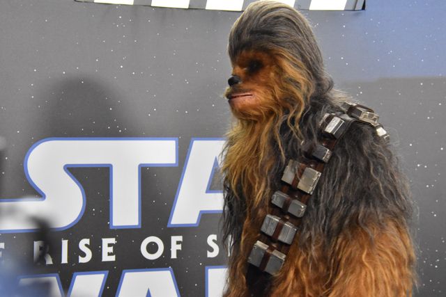 最後のスター・ウォーズついに上映『スター・ウォーズ／スカイウォーカーの夜明け』ワールドプレミア（23枚目）