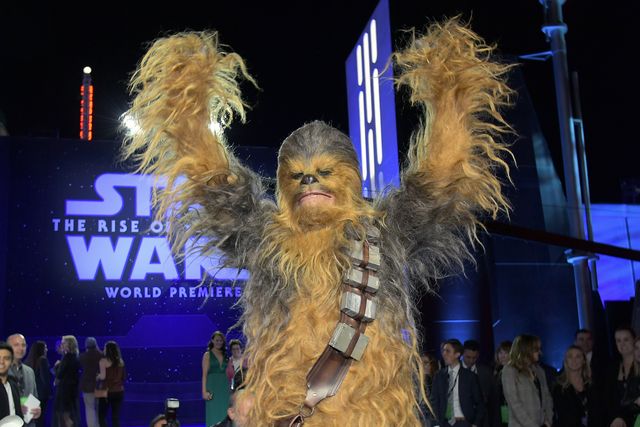 最後のスター・ウォーズついに上映『スター・ウォーズ／スカイウォーカーの夜明け』ワールドプレミア（25枚目）