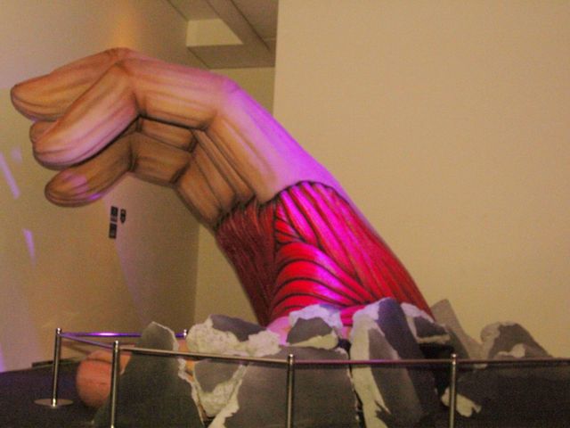 超大型巨人お披露目！「進撃の巨人展」フォトギャラリー（2枚目）