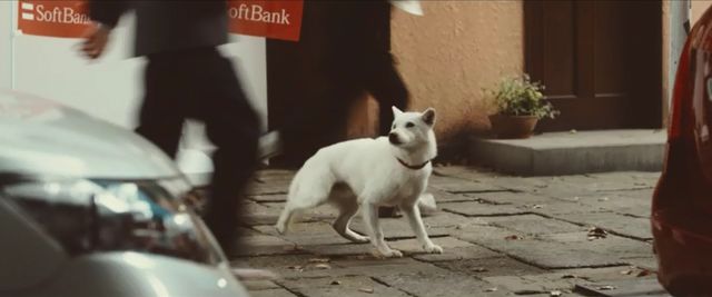 ゴジラから逃げるお父さん…ソフトバンク新CM「いい買物の日　襲来」編フォトギャラリー：フォトギャラリー