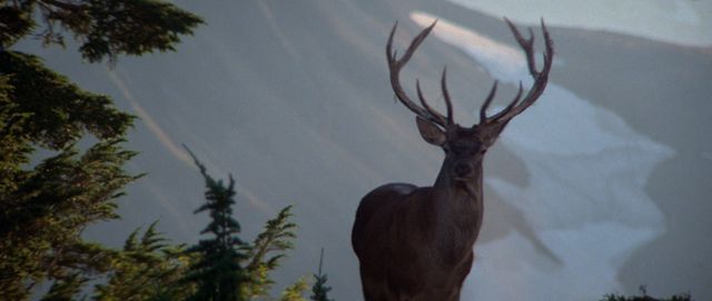 ロシアン・ルーレットの衝撃シーンも！『ディア・ハンター　4Kデジタル修復版』場面写真集（10枚目）