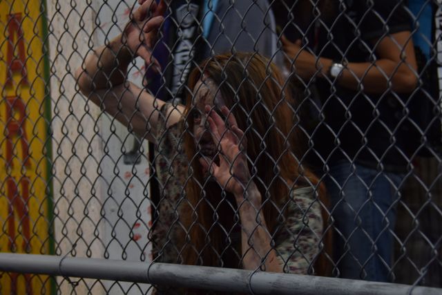 米オタクの祭典コミコンが今年も開幕！フォトギャラリー（13枚目）