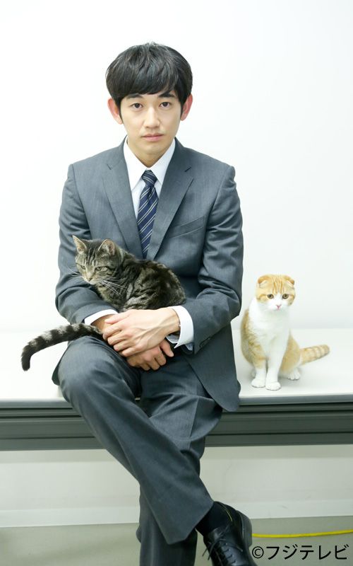 瑛太が猫と戯れる！フォトギャラリー（8枚目）