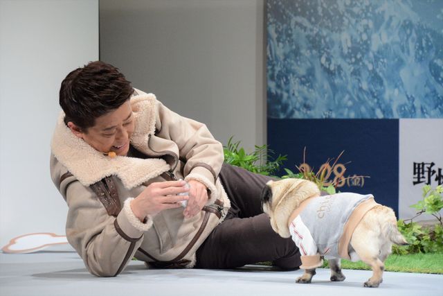 坂上忍＆IMALU、愛犬を抱っこ！『野性の呼び声』公開記念イベント（7枚目）