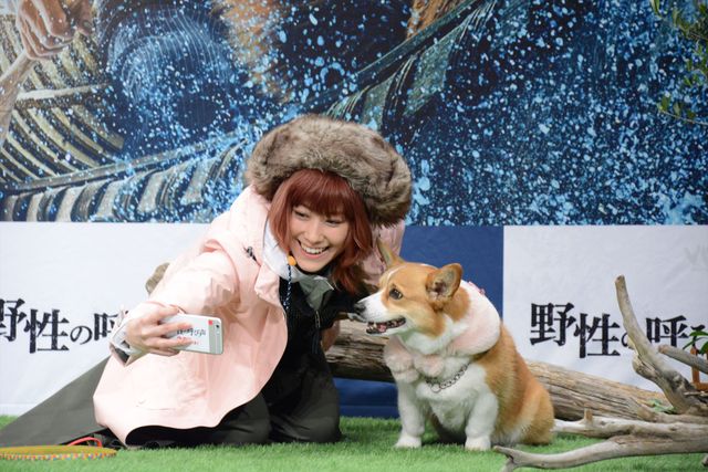 坂上忍＆IMALU、愛犬を抱っこ！『野性の呼び声』公開記念イベント（8枚目）