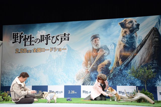 坂上忍＆IMALU、愛犬を抱っこ！『野性の呼び声』公開記念イベント（9枚目）