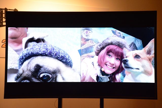 坂上忍＆IMALU、愛犬を抱っこ！『野性の呼び声』公開記念イベント（11枚目）