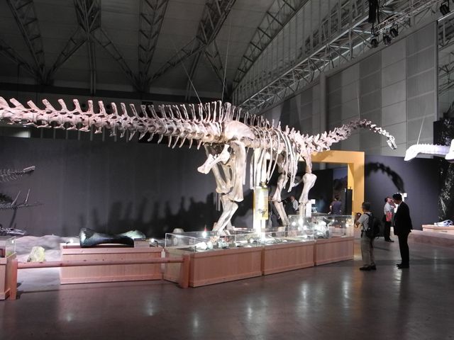 「世界最大 恐竜王国2012」報道内覧会写真ギャラリー（2枚目）