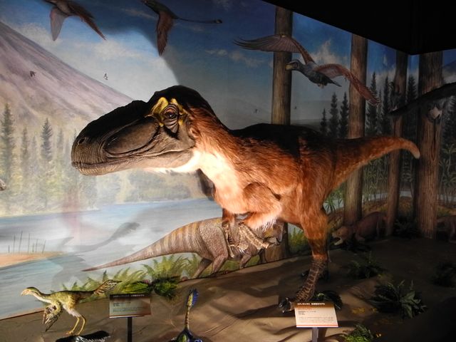 「世界最大 恐竜王国2012」報道内覧会写真ギャラリー（4枚目）